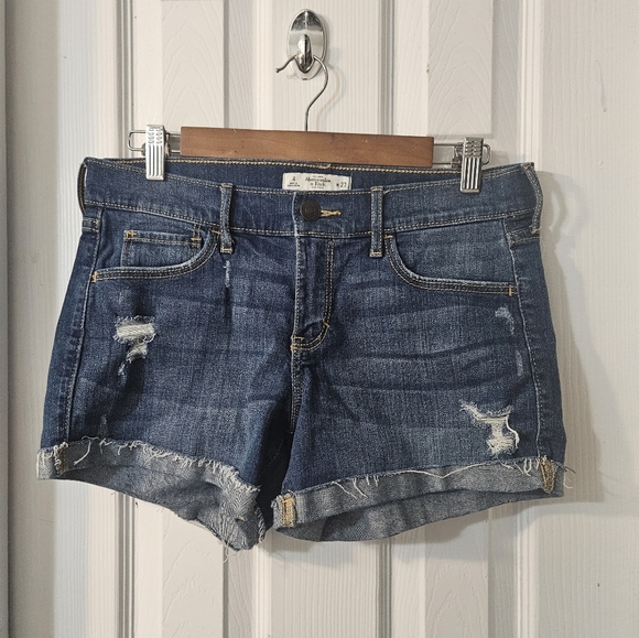 Abercombie & Fitch Distressed Shorts - Picture 1 of 6
